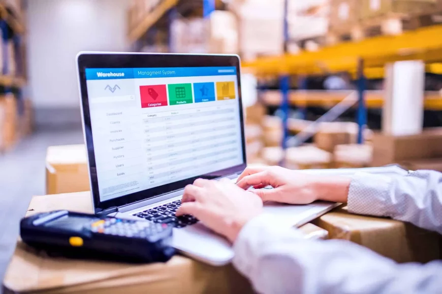 Uma economia sustentável pode aumentar o PIB e criar novos empregos no Brasil