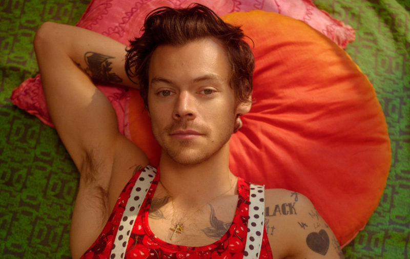 Top 10 Harry Styles: descubra as músicas mais ouvidas pelos fãs brasileiros - Galeria 1 - Imagem 1
