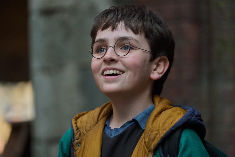 novo harry potter alpha floripa